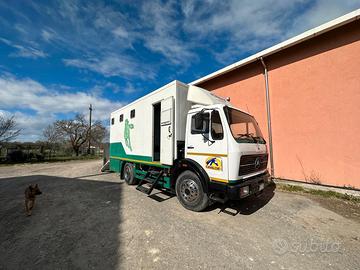 Van trasporto cavalli Mercedes