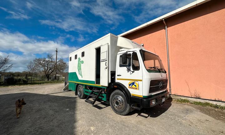 Van trasporto cavalli Mercedes