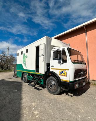 Van trasporto cavalli Mercedes