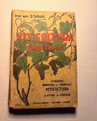 Viticoltura Industriale