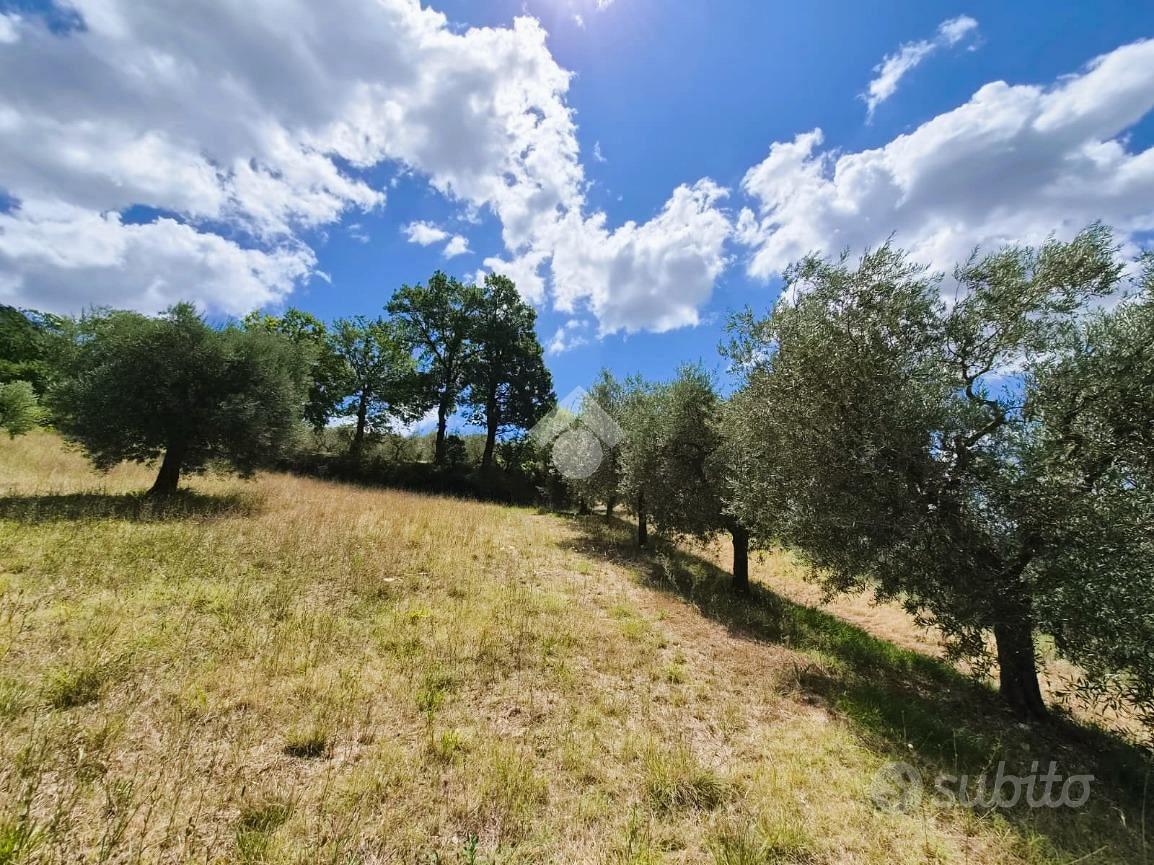 TER. AGRICOLO A GUBBIO - Vista 4