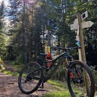 orbea rallon m-ltd tg. L