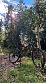 orbea rallon m-ltd tg. L