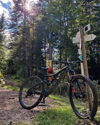 orbea rallon m-ltd tg. L