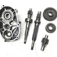 CARTER E INGRANAGGI RUOTA POSTERIORE YAMAHA MAJEST