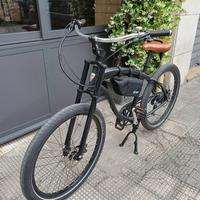 Bici elettrica cruiser