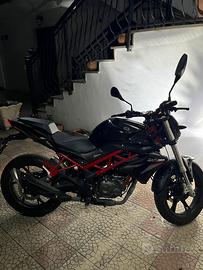 Benelli bn 125