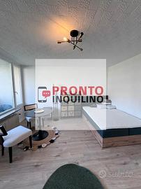 Monolocale a rho (mi)
