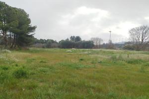 Terreno c/da niscima