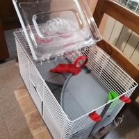 Gabbietta per criceto