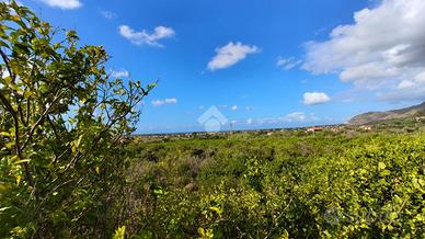 TER. AGRICOLO A CAMPOFELICE DI ROCCELLA