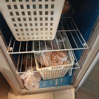 Frigo congelatore professionale