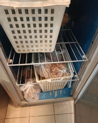 Frigo congelatore professionale