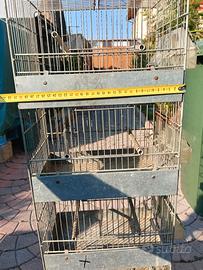 disponibile gabbia 