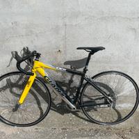 Giant da corsa, taglia S