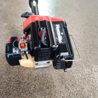 Decespugliatore homelite F2020