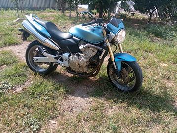 Honda hornet