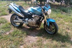 Honda hornet