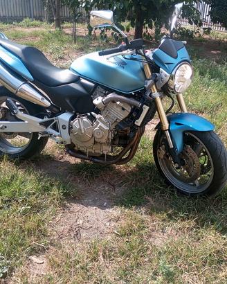 Honda hornet