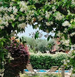 Camera in villa a 10 Min da pv