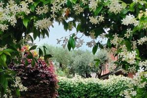 Camera in villa a 10 Min da pv