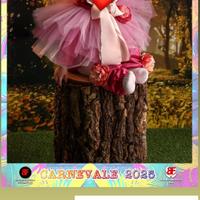 Vestito Carnevale Bambina