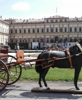 Calesse MILITARINO in legno