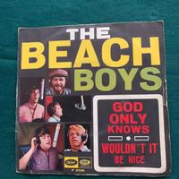 Disco The Beach Boys