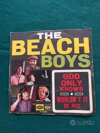 Disco The Beach Boys