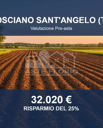 Immobile in asta di 20096 m² a Mosciano Sant'Angel