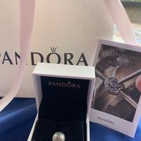 Charm Pandora