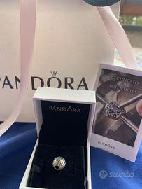 Charm Pandora