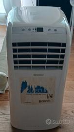 Climatizzatore Portatile.