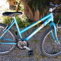 bici montainbike Cirotti