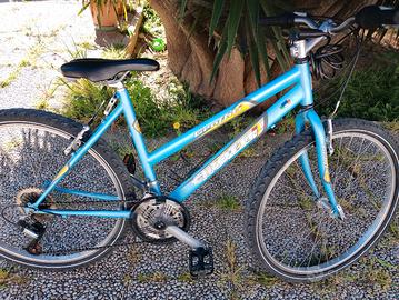 bici montainbike Cirotti