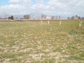 Terreno, zona Mondragone