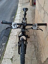 Bici Vianelli 26