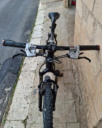 Bici Vianelli 26