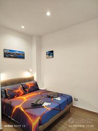 Luminoso monovano ristrutturato arredato