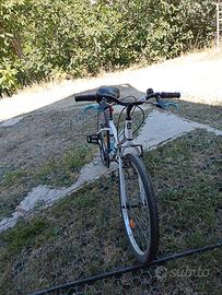 Bici trekking 26