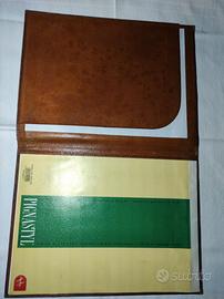 Louis Vuitton cartella