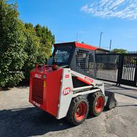 P184-MINI PALA JOLLY 17q