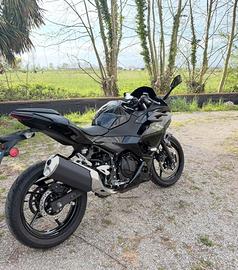 Ninja 500 2024
