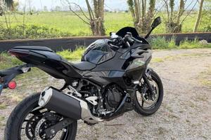 Ninja 500 2024