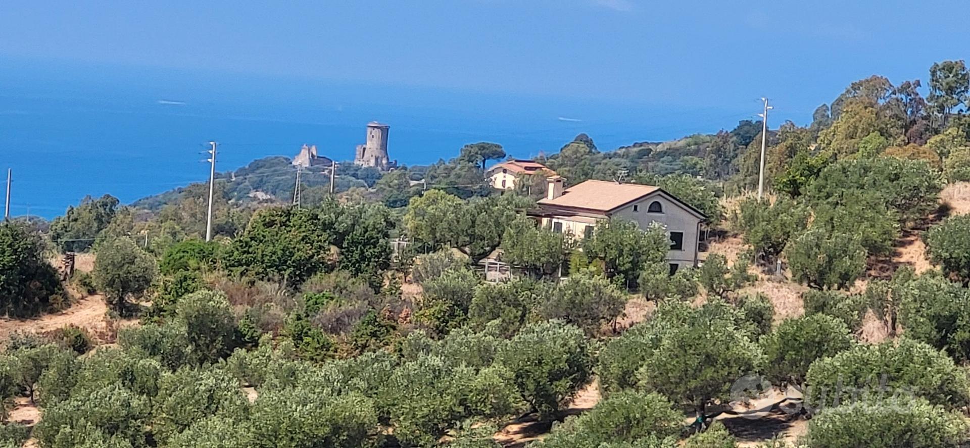 TERRENO AGRICOLO CON ULIVETO ASCEA - Vista 4
