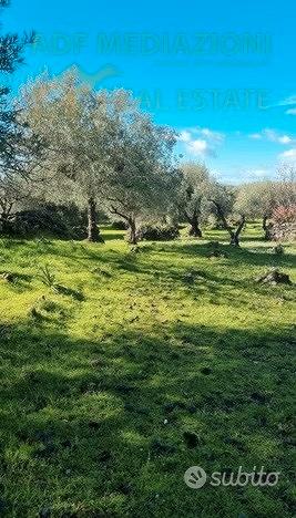 Terreno Agricolo Con Rudere - Vista 2