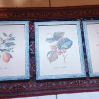 Set 5 quadri stampe frutta vintage