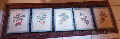 Set 5 quadri stampe frutta vintage