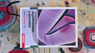 Algebra Lineare e geometria - Schlesinger