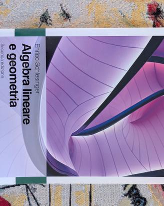 Algebra Lineare e geometria - Schlesinger